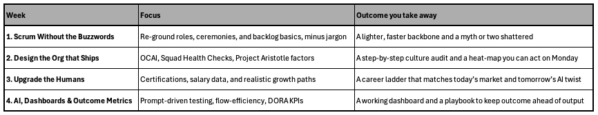 four week flight plan scrum graph